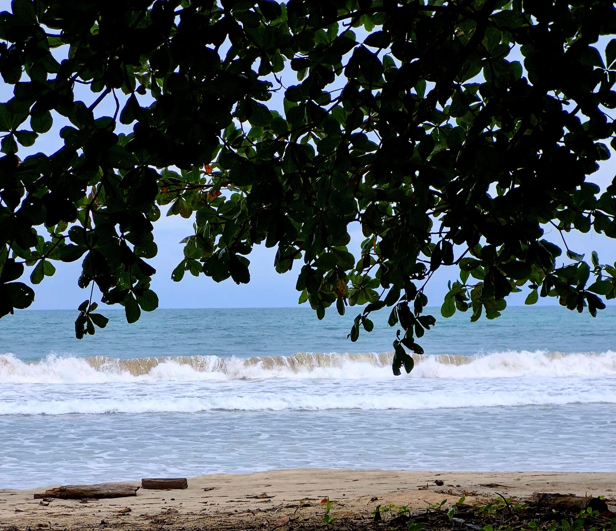 Where the jungle gives way to the Caribbean — dense forest behind, open water ahead.