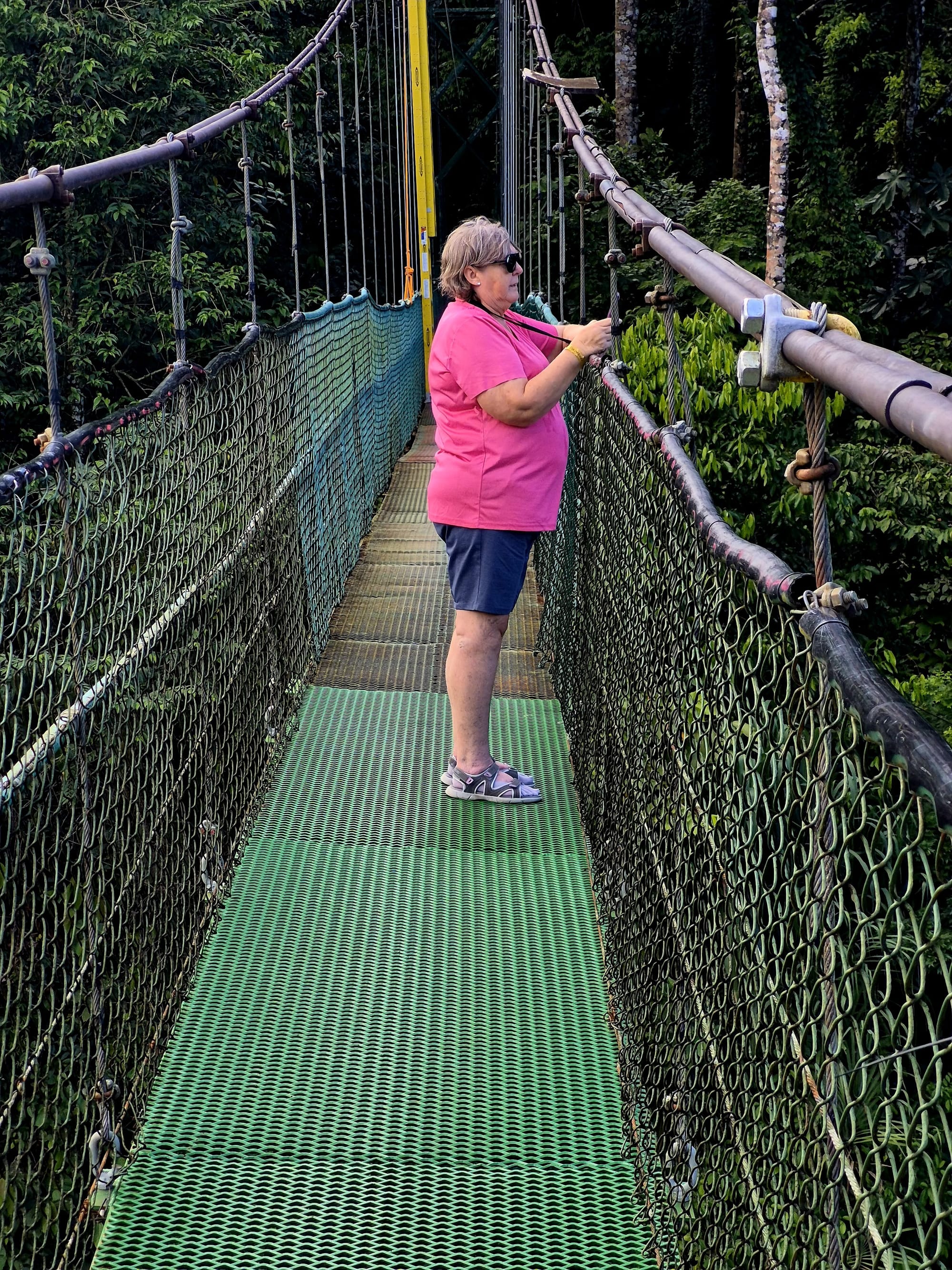 Crossing Costa Rica’s second longest suspension bridge above the rainforest canopy — a steady walk with sweeping views over the Sarapiquí River below.