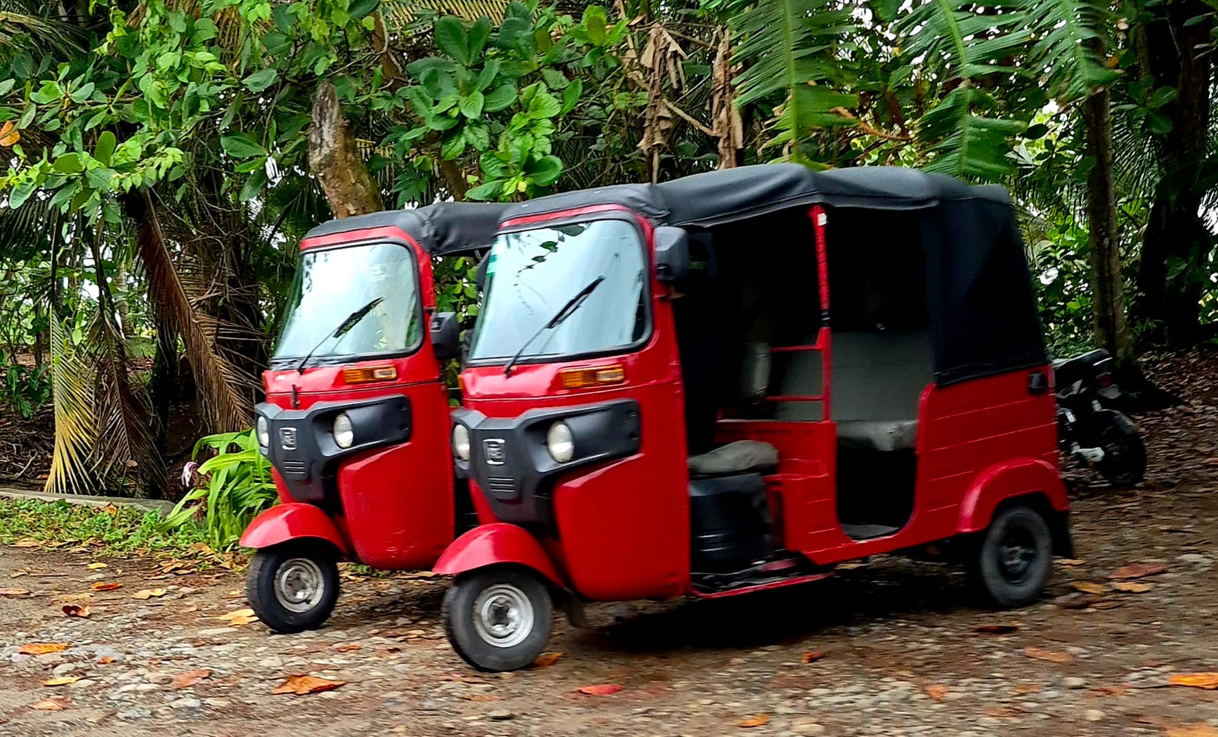 Tuk-tuks waiting on a jungle road — our everyday transport of the Caribbean coast