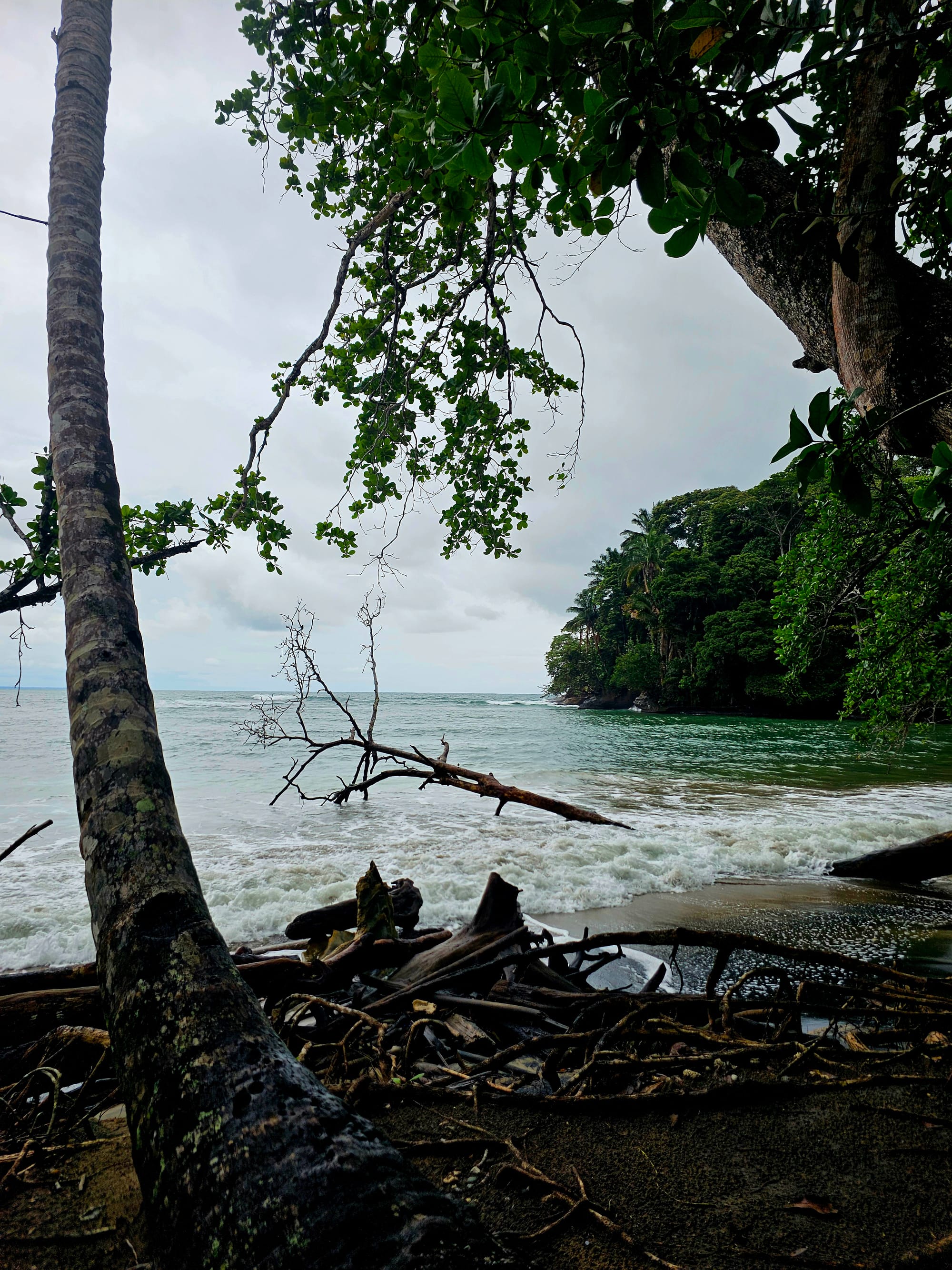 Rain-soaked Caribbean coastline near Cahuita, where jungle meets the sea.