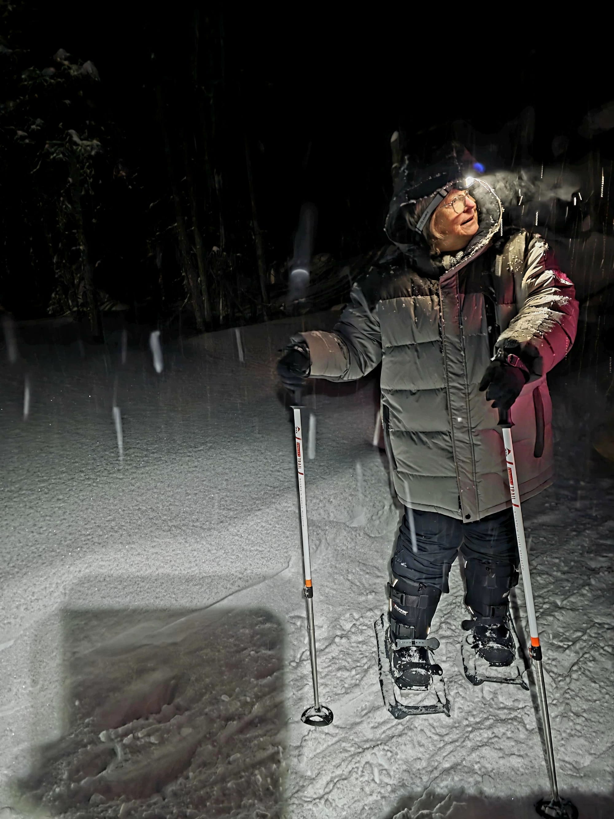 Colleen snowshoeing at Aurora Bear in steady snowfall — visibility low, no aurora that night, just fresh powder and real Interior Alaska weather.
