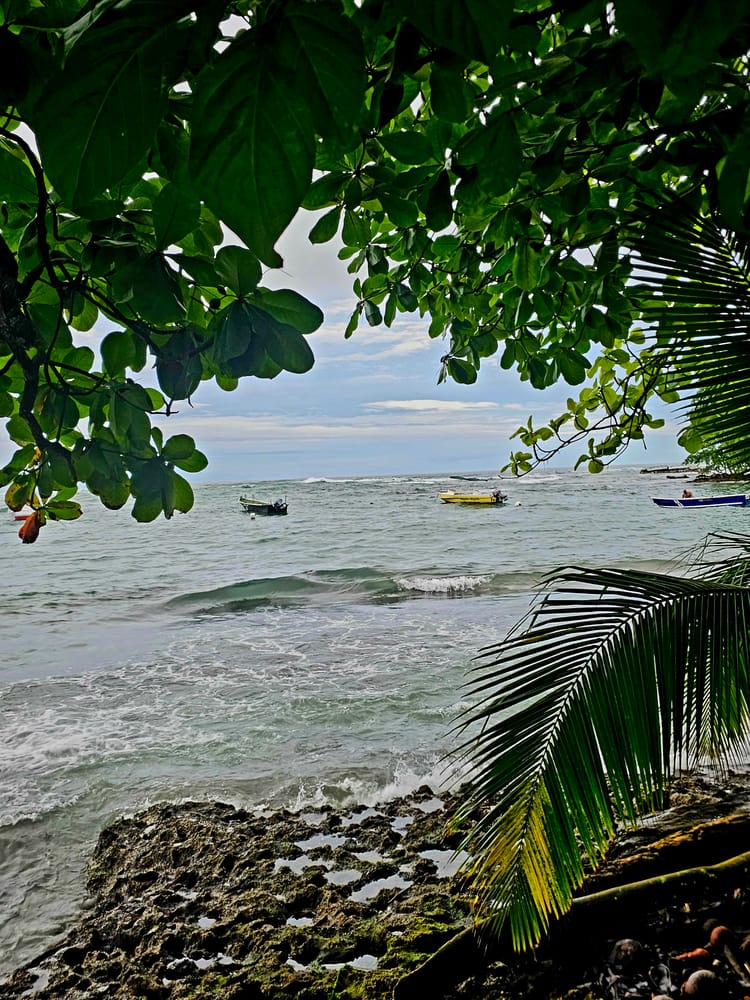 Framed by coastal rainforest, the Caribbean Sea meets Cahuita’s rocky shoreline, where quiet fishing boats, abundant wildlife, and unhurried evenings define Days 5–7.