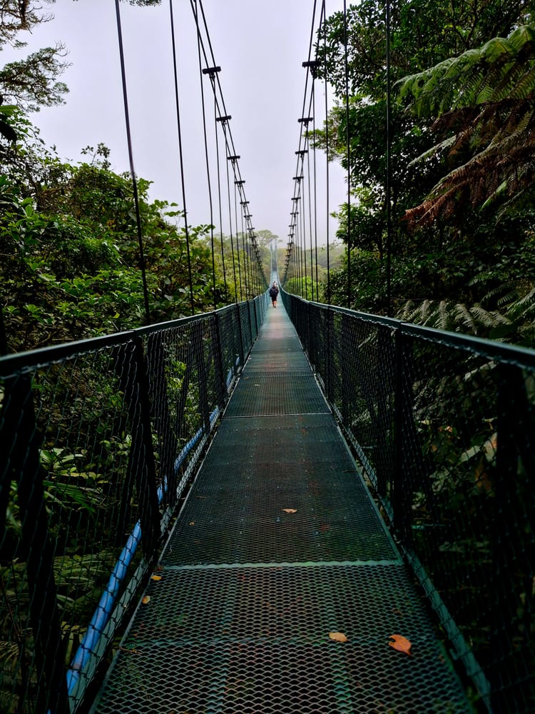 Suspended in the heart of the Monteverde Cloud Forest.